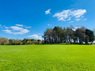 field and blue sky
