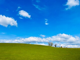 field and blue sky