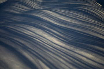 Snow wave. Shadows on the snow. Lines on a wavy surface. A lot of snow.