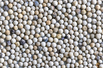 White peppercorns (white pepper) spice seeds texture background. © Sahadat