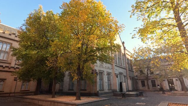 University Building with Tree in Courtyard