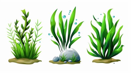 Vibrant watercolor illustrations of marine plants and algae, showcasing the beauty of undersea flora and nautical life.