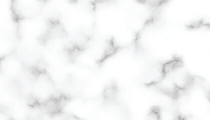 marble granite white panorama background. abstract light elegant black do floor, ceramic texture stone slab. marble vector texture background with high resolution.