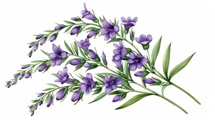 Delicate pastel larkspur blooms in a soft watercolor style, capturing natures tranquility against a bright white backdrop.