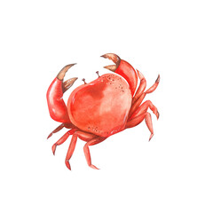 Bright Beautiful Crab. Red. Beach Vacation Collection. Watercolor Illustration. For Cafe and Restaurant Menu, Home Textiles, Flyers, Posters, Textiles, Accessories
