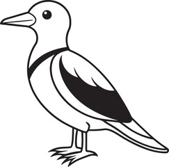 black and white bird .Adorable Vector Art Illustration