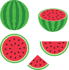 National Watermelon Day on August 3rd.Set of Fruits, Summer Fruit Collection, Fruits Watermelon, Watermelon Vector, Fruit illustration