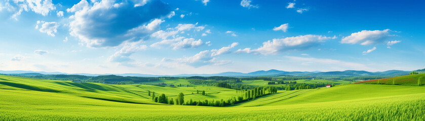 Obraz premium Expansive, lush green fields under a bright blue sky with scattered clouds, set against distant mountains. Perfect landscape scenery.