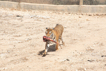My trip to Tunisia - Friguia Park