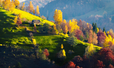 Autumn landscape in Bucegi Mountains