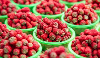 Fresh strawberries in a pot