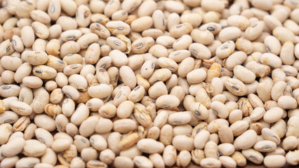 white beans close up