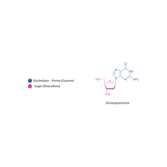 Deoxyguanosine skeletal structure schematic illustration, Nucleoside molecule.