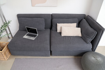 Stylish living room with black sofa, houseplant and modern laptop