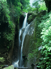 waterfall in the forest