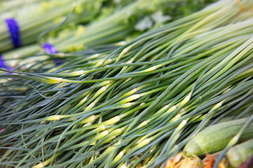 Fresh vegetables in the market