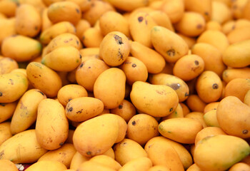 A pile of golden mangoes