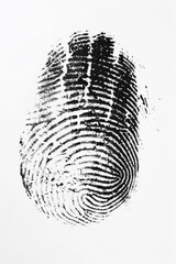 指紋の画像
