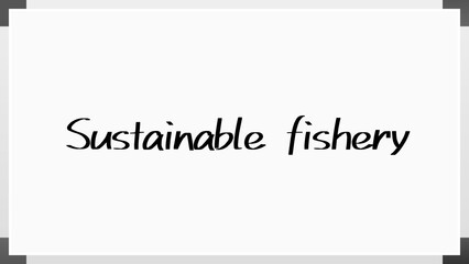 Sustainable fishery のホワイトボード風イラスト