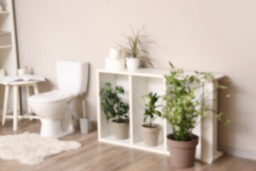 Modern toilet bowl and shelving unit with plants near grey wall in restroom. Blurred view