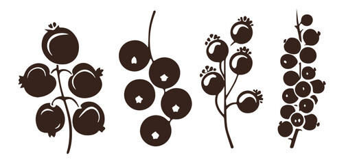 Blackcurrant Berries Isolated White Background