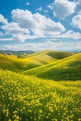 Obraz premium A scenic view of rolling green hills covered with bright yellow wildflowers under a partly cloudy sky. Perfect for nature, travel, or environmental projects.