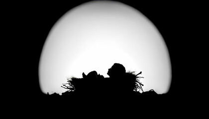 Nativity Scene of the Birth of Christ: Baby Jesus in a Manger in Silhouette Against an Arc of Light.