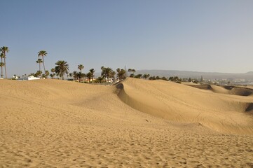 Dünen von Maspalomas auf Gran Canaria