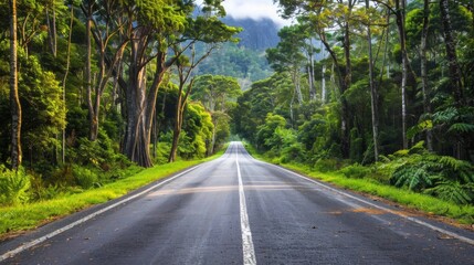 Fototapeta premium A scenic highway stretching into the distance with lush green trees on either side, capturing the beauty of a rural road.