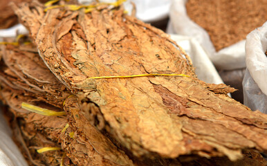 Bundled dry tobacco leaves