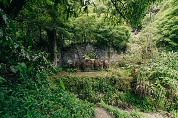 Fototapeta premium View on rusty ruins abandoned factory Fabrica da Cidade and Fabrica da Vila. Sao Miguel island, Azores
