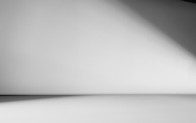 Background wall floor shadow grey leaf white light kitchen abstract studio product minimal room marble mockup display stage scene platform shelf space pattern backdrop table product summer travel.