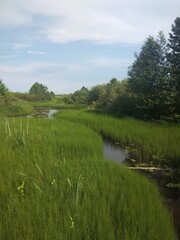 nature, river, lake, water, sky, clouds