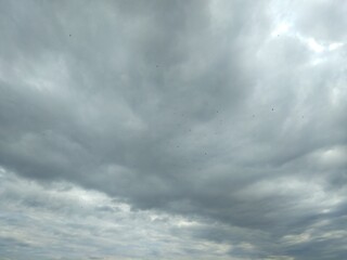 Fototapeta premium clouds in the sky