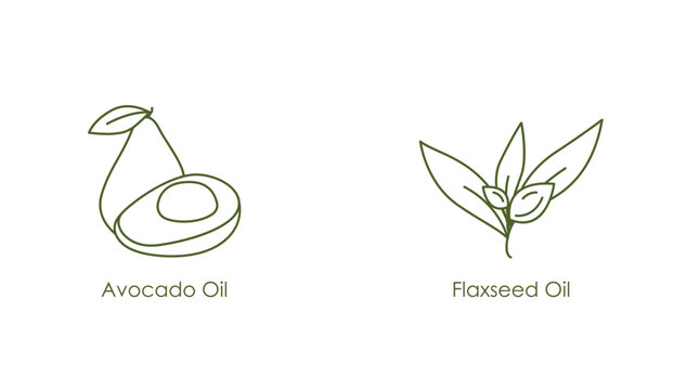 avocado and flaxseed oil icon vector illustration 
