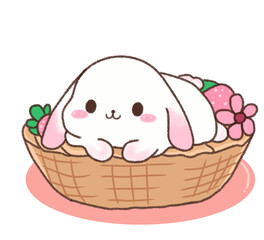 Cute rabbit 🐇