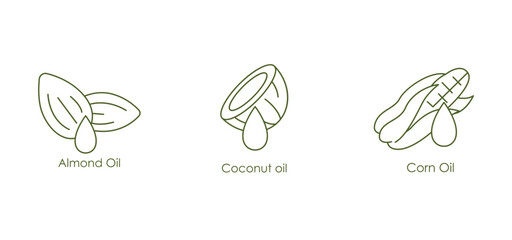 Versatile Almond, Coconut,  Corn Oil Vector Icons