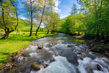 landscape with mountains, forest and a river in front. beautiful scenery in spring