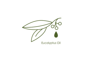Refreshing Eucalyptus Oil Vector Icon
