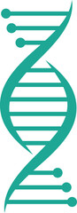 DNA Strand Icon