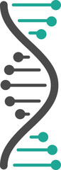 DNA Strand Icon