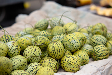 Small melon with green spots