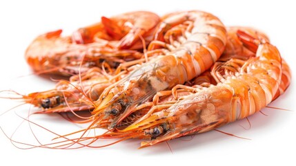 Shrimps Pile. Delicious Freshly Steamed Shrimps in Orange and Pink Colors