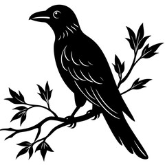 Black crow on a tree branch. Vector illustration isolated silhouette with white Background.