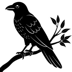 Black crow on a tree branch. Vector illustration isolated silhouette with white Background.