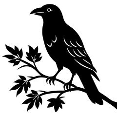 Black crow on a tree branch. Vector illustration isolated silhouette with white Background.