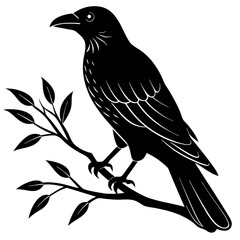 Black crow on a tree branch. Vector illustration isolated silhouette with white Background.