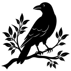 Black crow on a tree branch. Vector illustration isolated silhouette with white Background.