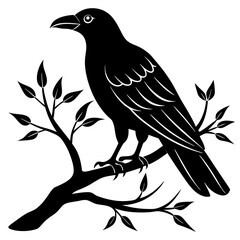 Black crow on a tree branch. Vector illustration isolated silhouette with white Background.