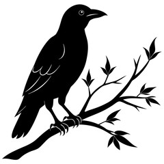 Black crow on a tree branch. Vector illustration isolated silhouette with white Background.